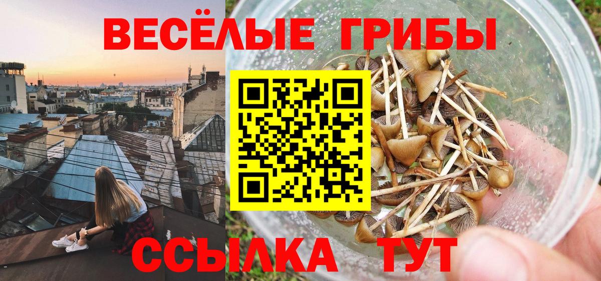 Галлюциногенные грибы мицелий  Псилоцибиновые грибы прущие грибы  Минеральные Воды  Вход с VPN 