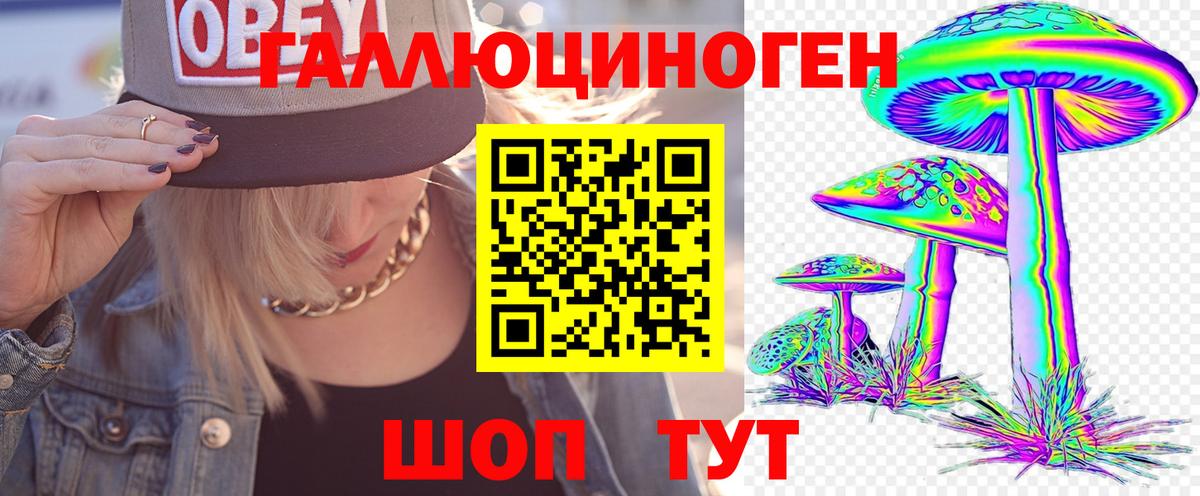 Псилоцибиновые грибы мицелий Минеральные Воды
